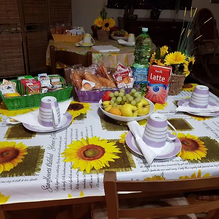 Zeus Superior Florencia